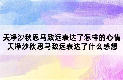 天净沙秋思马致远表达了怎样的心情 天净沙秋思马致远表达了什么感想